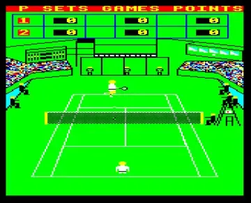 3D Tennis (19xx)(Bug Byte)[TENNIS]